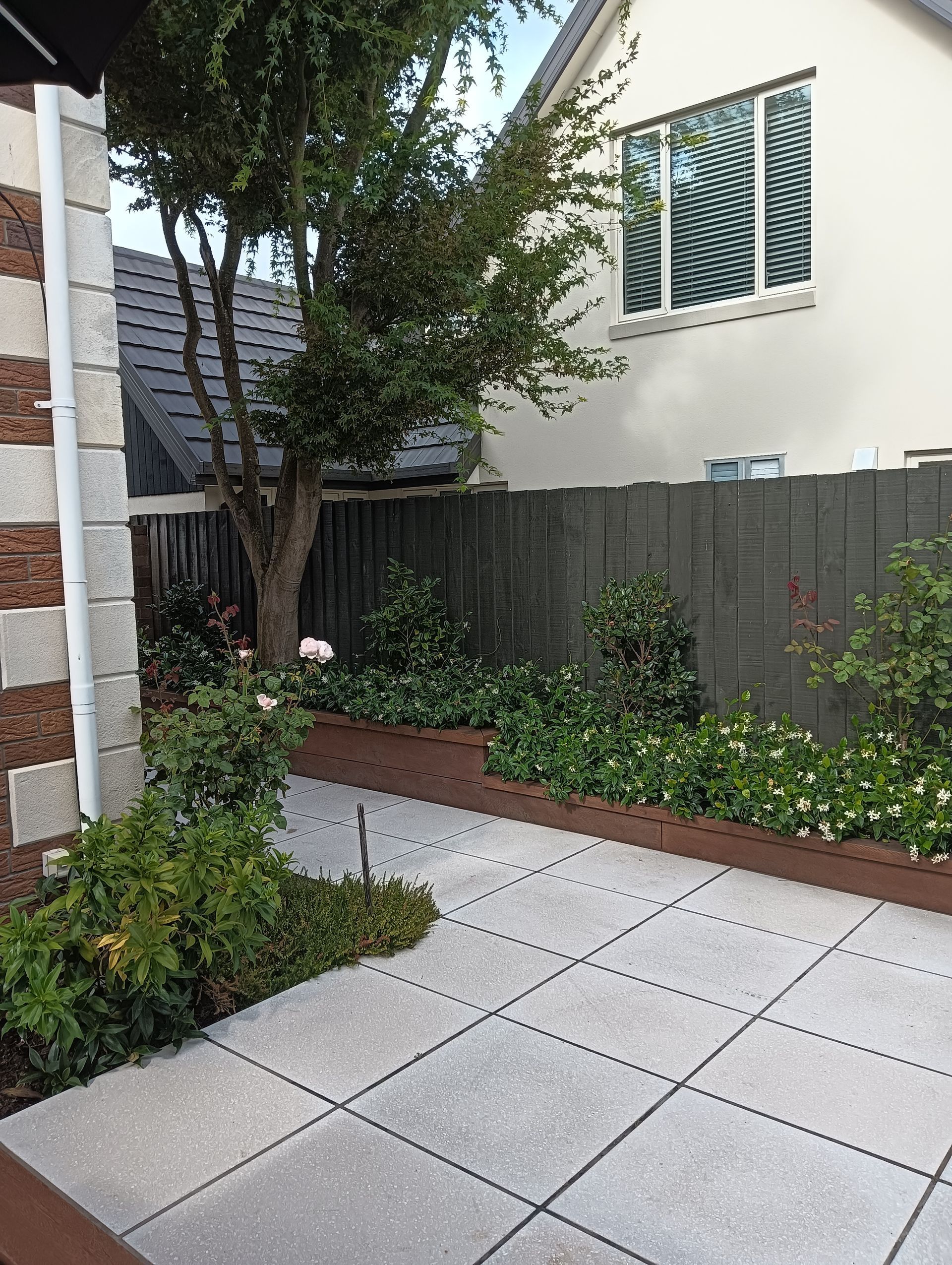 A house with a fence and a tree in front of it