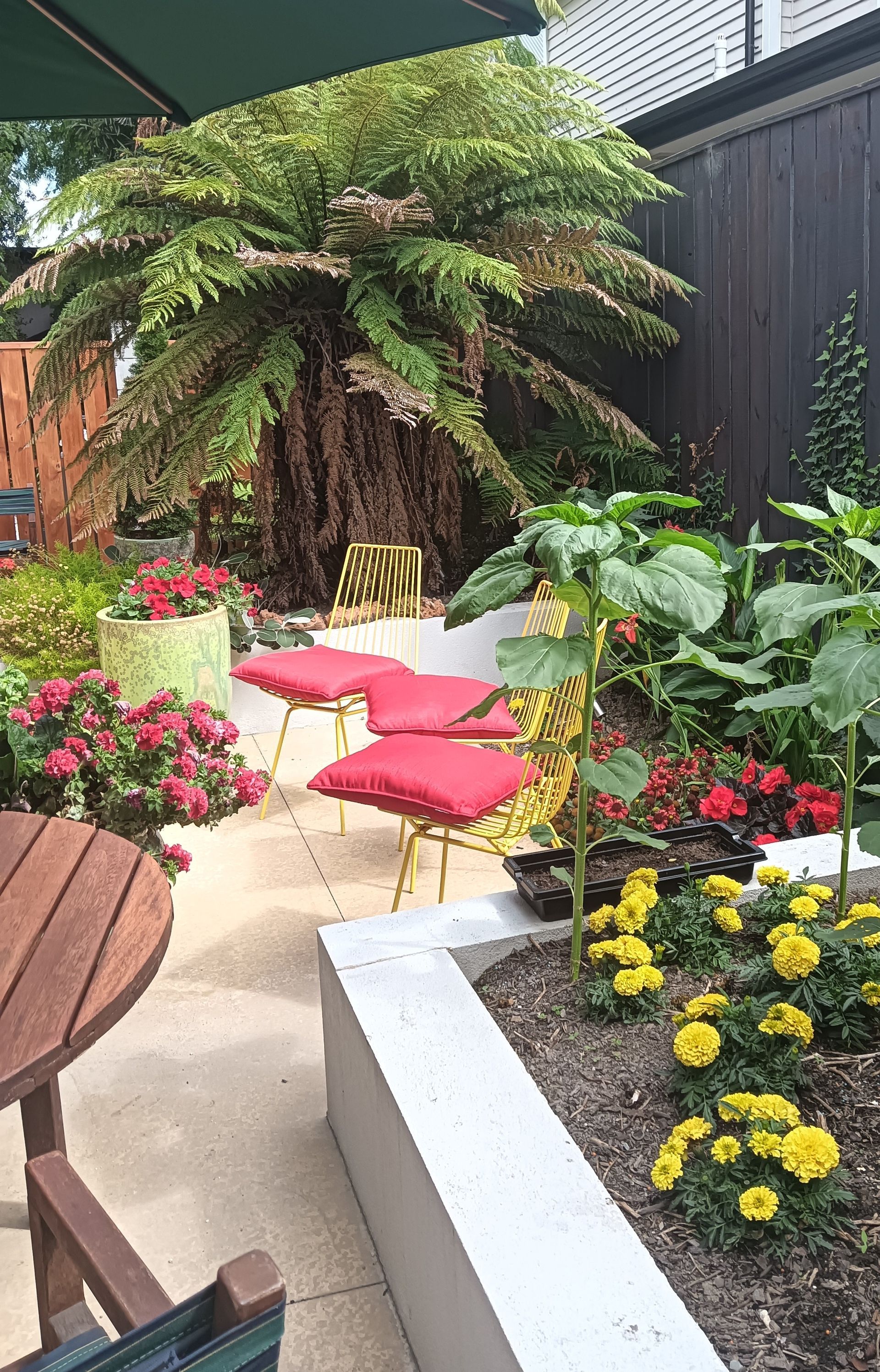 A garden with a table and chairs and a green umbrella