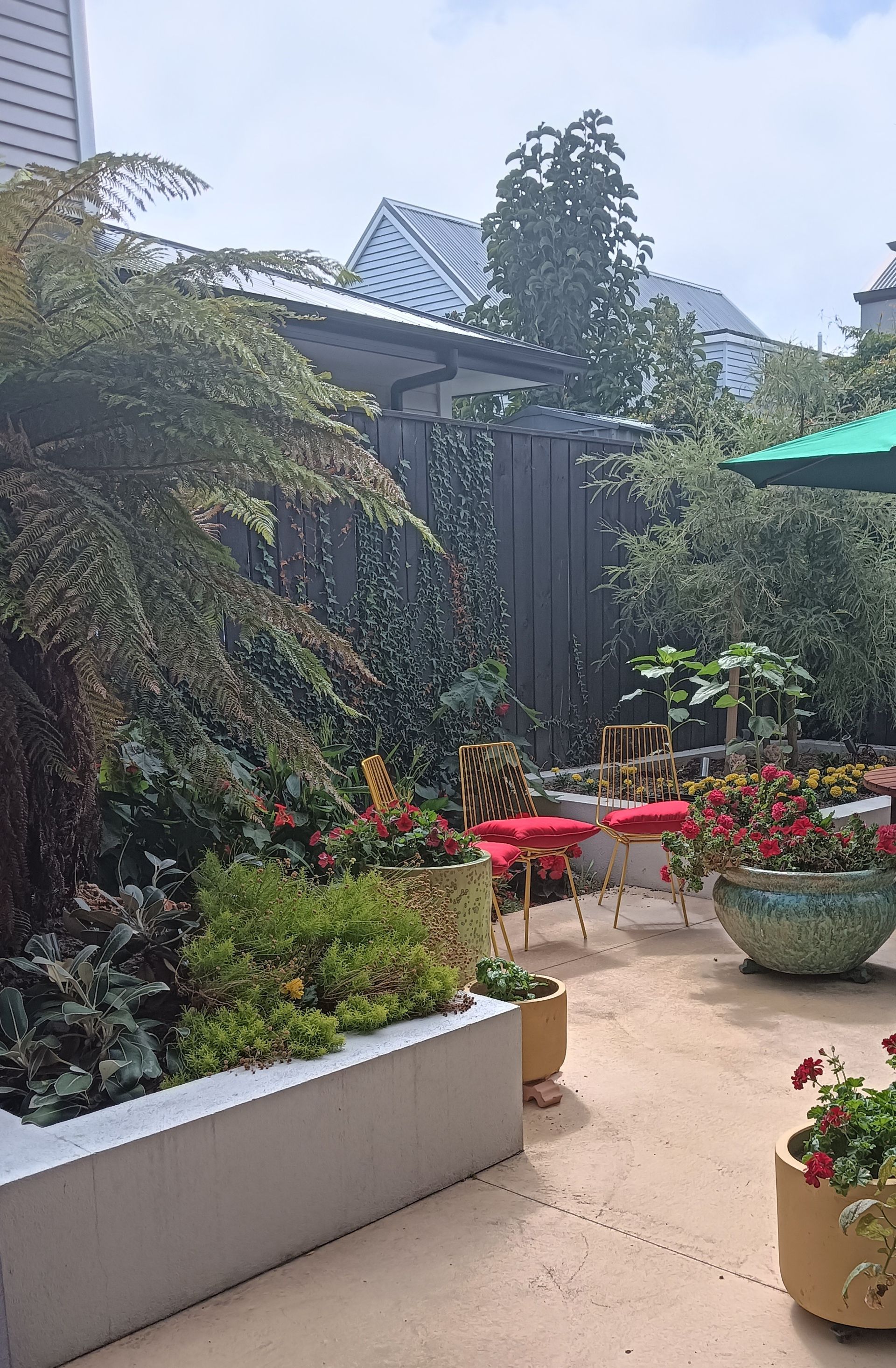 A garden with potted plants and a green umbrella