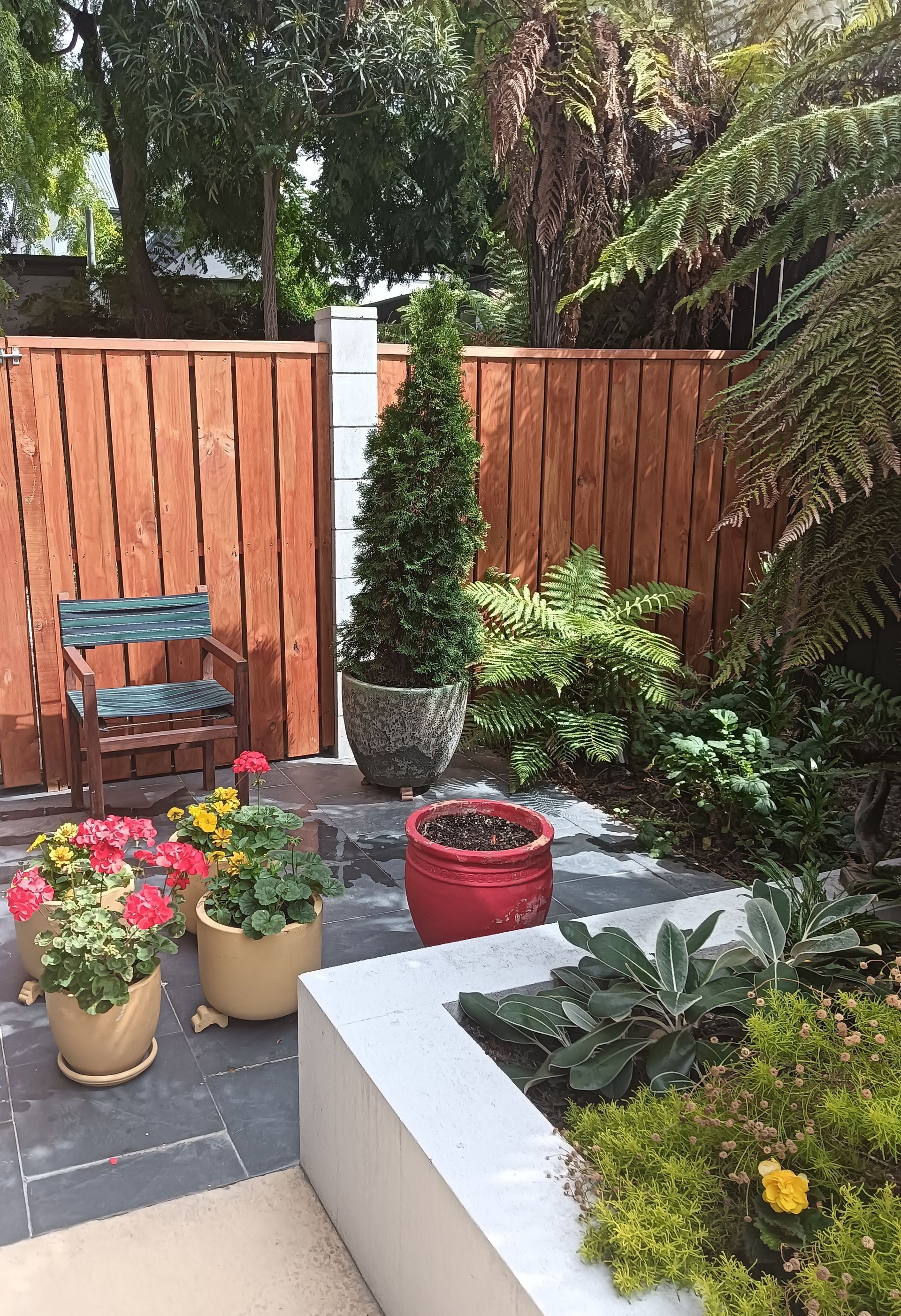 A garden with potted plants and a wooden fence