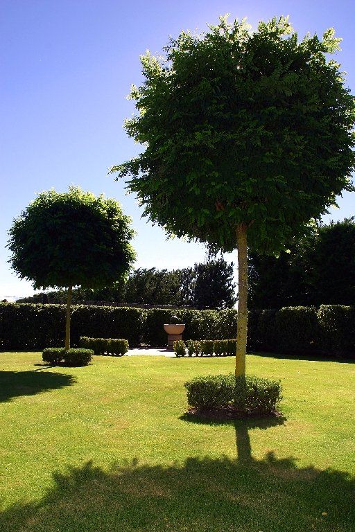 A lawn with trees and bushes and a blue sky