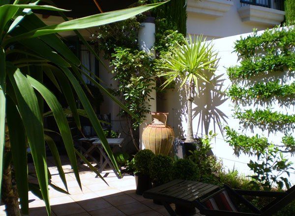 A patio with lots of plants and a chair