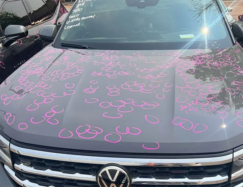 the hood of a volkswagen is covered in pink hail .