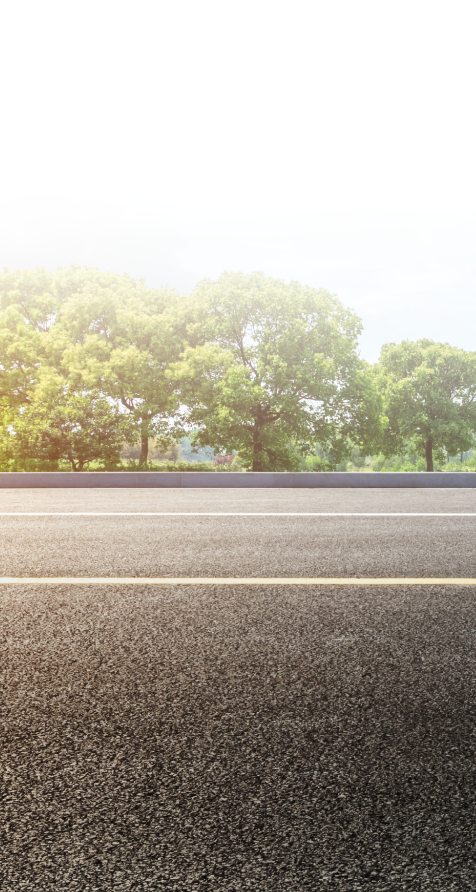An empty road with trees on the side of it | CIA Autoplex