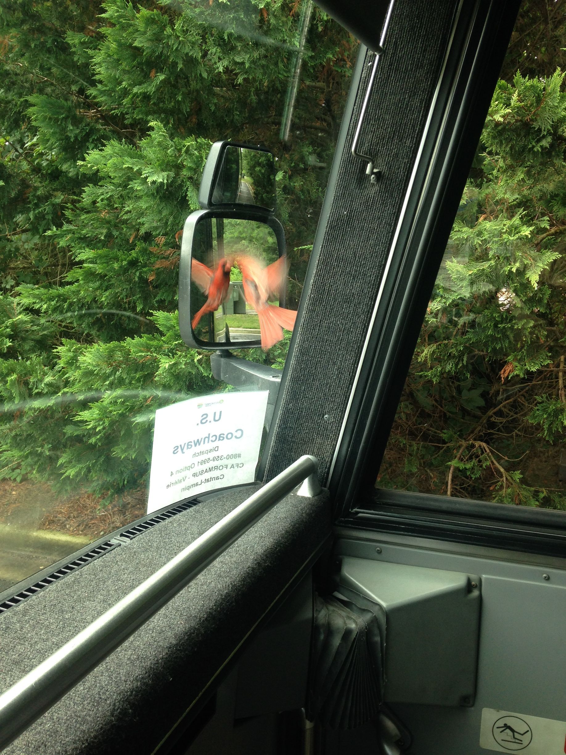 A close up of a rear view mirror on a car window