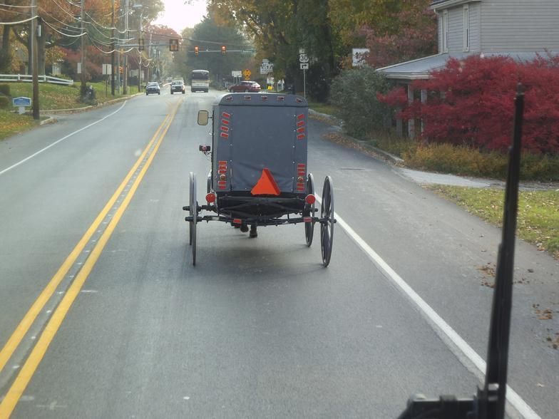 A horse drawn carriage is driving down a road
