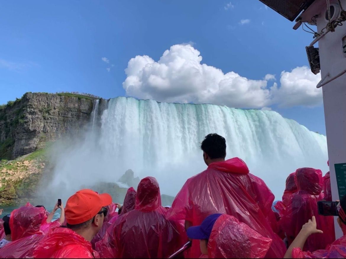 A group of people in pink raincoats are standing in front of a waterfall.