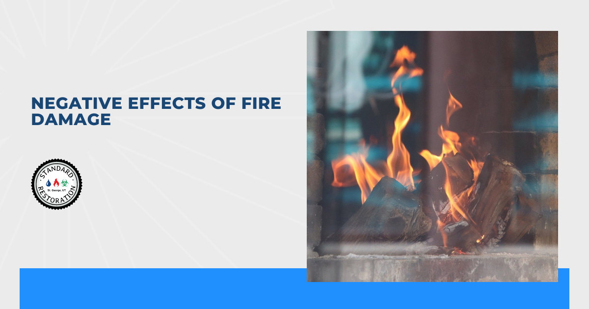 Negative Effects of Fire Damage