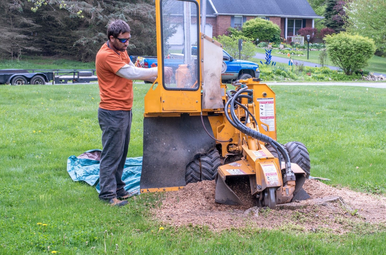 An image of Tree Removal in Cottonwood Heights, UT