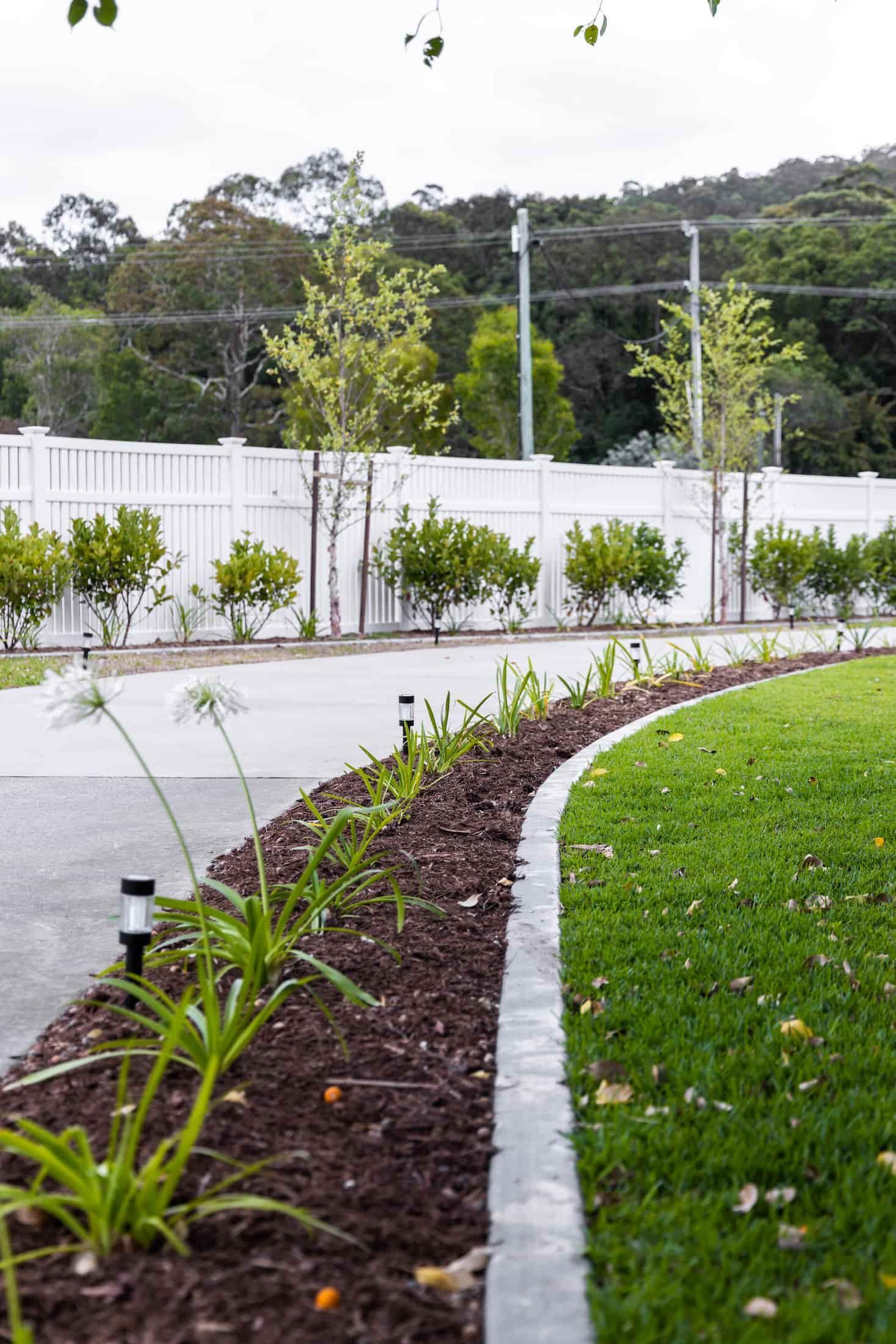 Curved garden bed with green lawn and brown mulch; white fence in background.