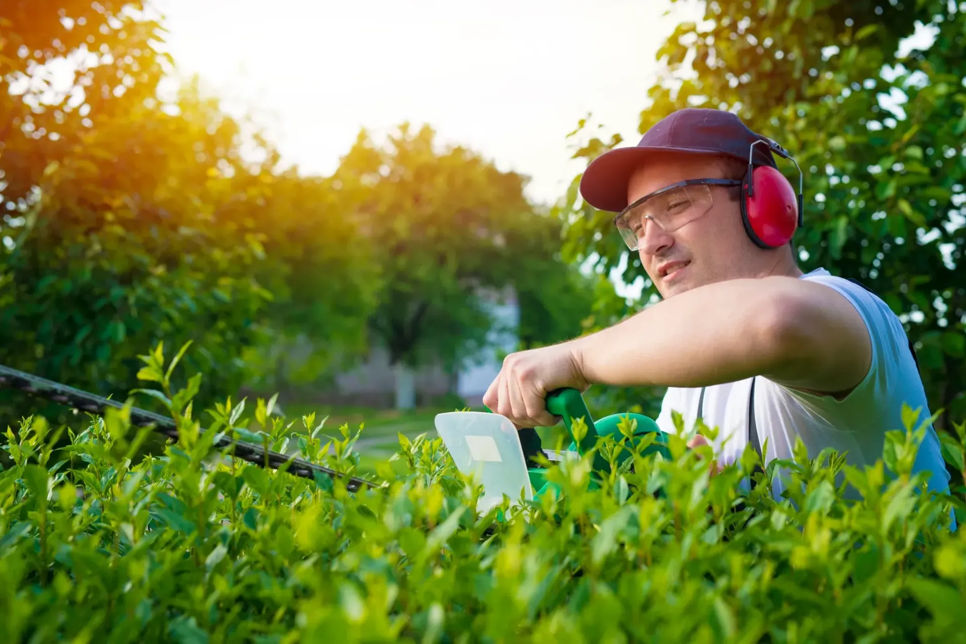 Man trimming hedge with electric trimmer; wearing safety glasses, earmuffs, and cap in sunny garden.