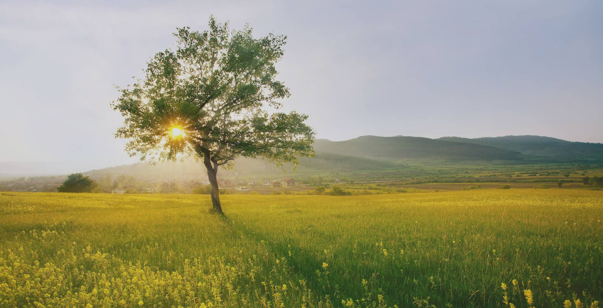 Celebrating Life & Memories