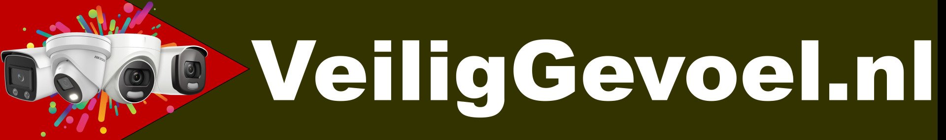 Logo met drie witte bewakingscamera's op een rode pijlenachtergrond naast de witte tekst 