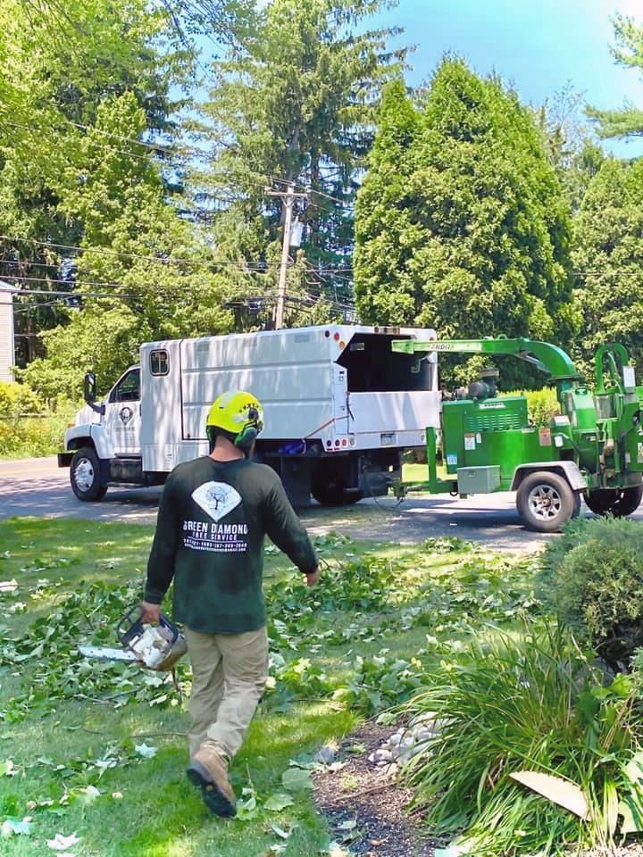 Worker walking toward a white truck and green chipper in a leafy yard with tree branches on the ground