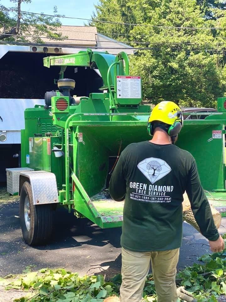 Worker in yellow helmet stands beside a green wood chipper on a driveway under trees.
