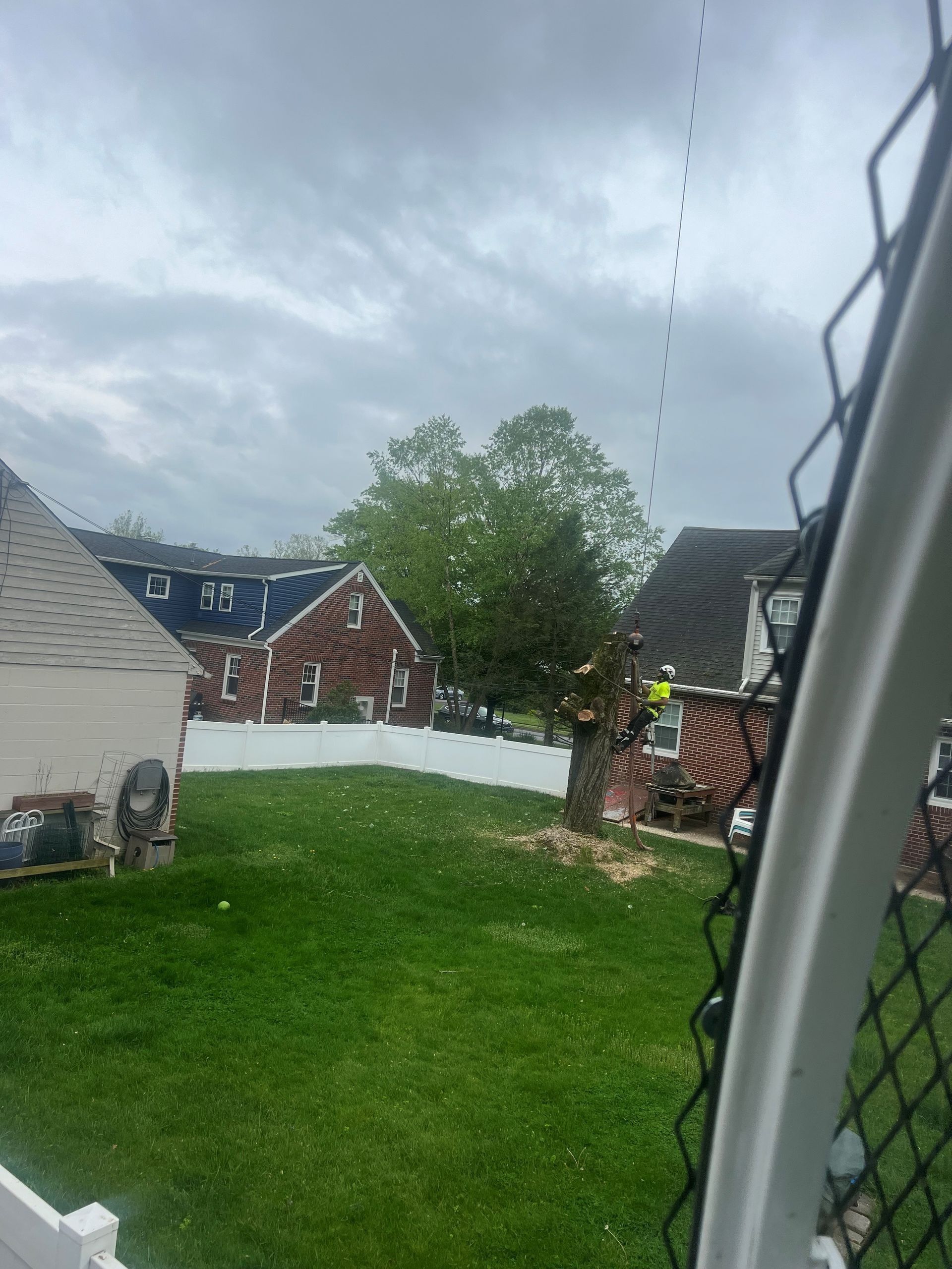 Rainy backyard with green lawn, brick houses, and a white fence under cloudy skies