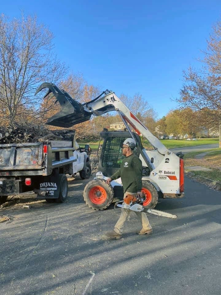 Worker standing by a skid steer loading a dump truck on a tree-lined street.