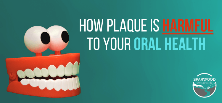 Oral Health | Plaque | Dentistry | Impacts of Plaque | Cavities | Inflammation | Bad Breath