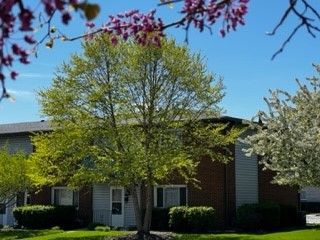 tree outside building with flower