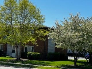 tree outside building