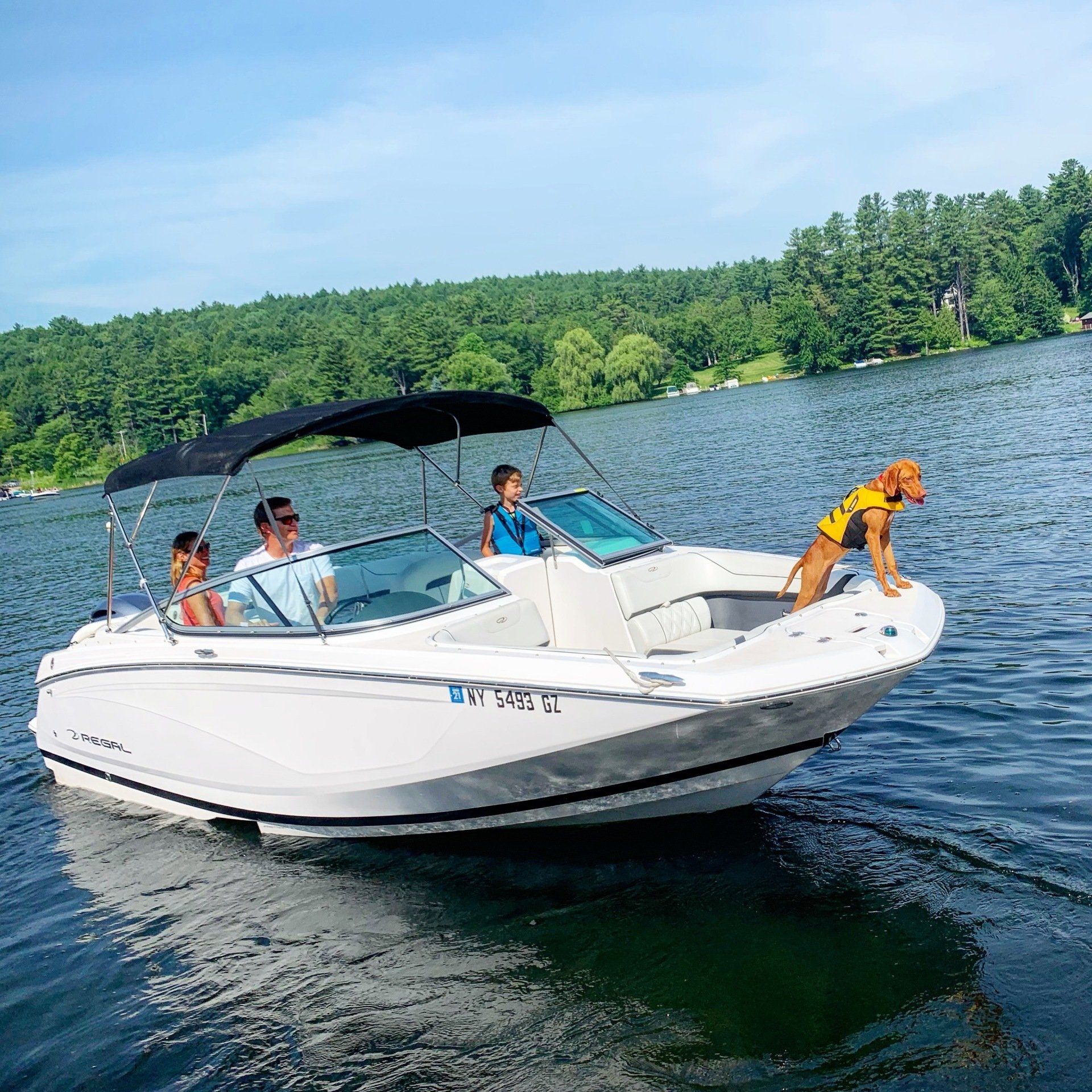 queen-boat-co-boating-lake-george-dock-dog