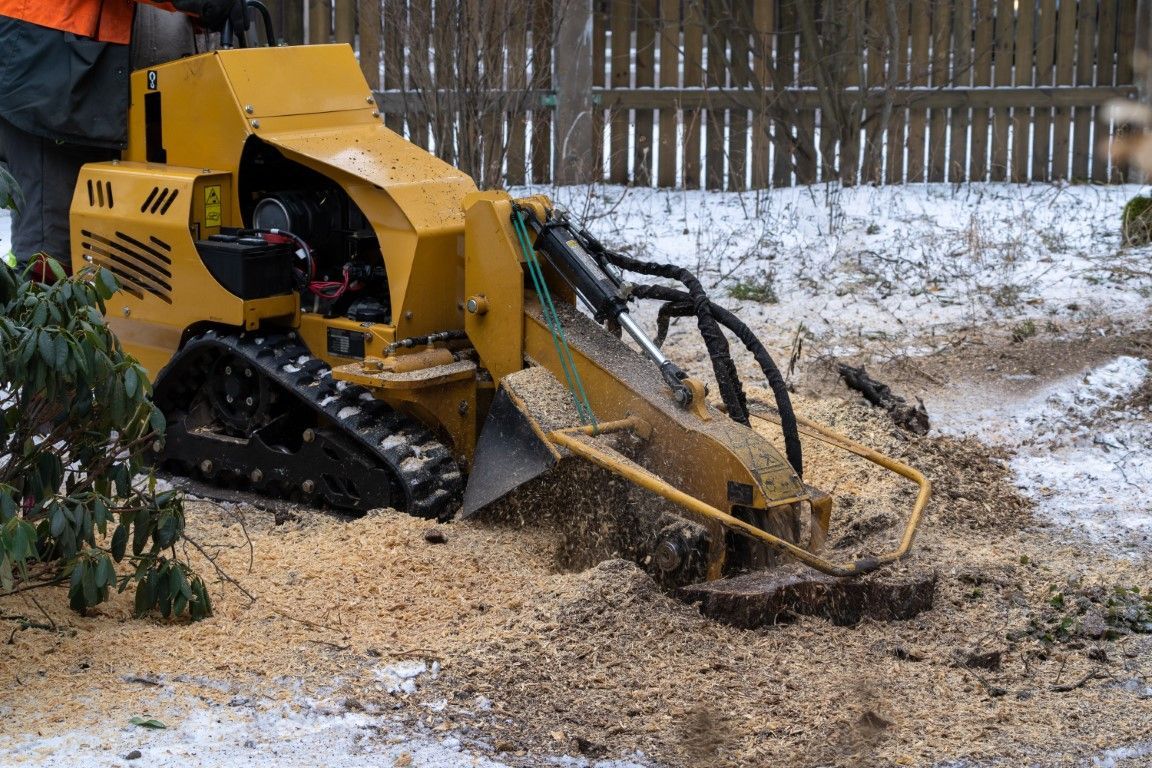 An image of Stump Grinding/Removal in Huntington Park CA