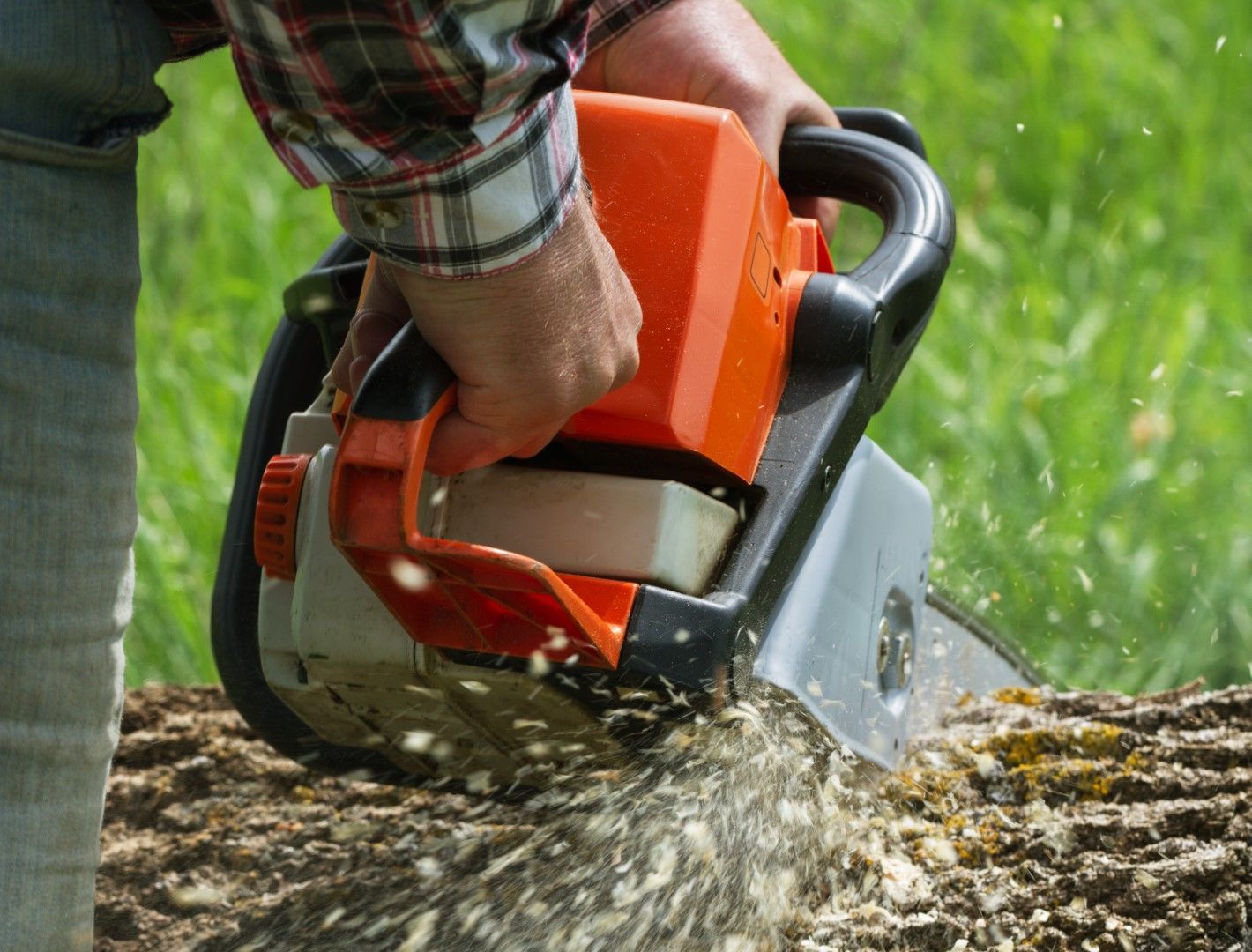 A man is using a chainsaw to cut a tree stump.