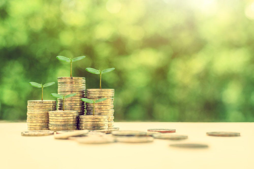 Rising Stacks of Coins and Green Sprout — Local Finance Brokers In North Mackay, QLD