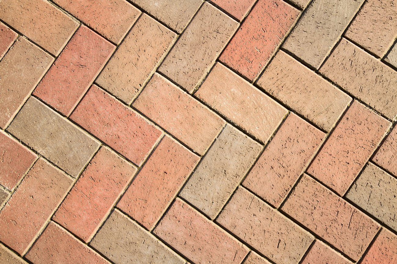 Best Carpet Cleaning Service Yuma, AZ New Broom Company