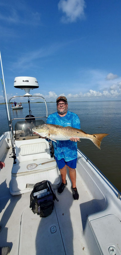 Person on a boat holding a large fish. Sunny day on the water, with blue skies and clouds.