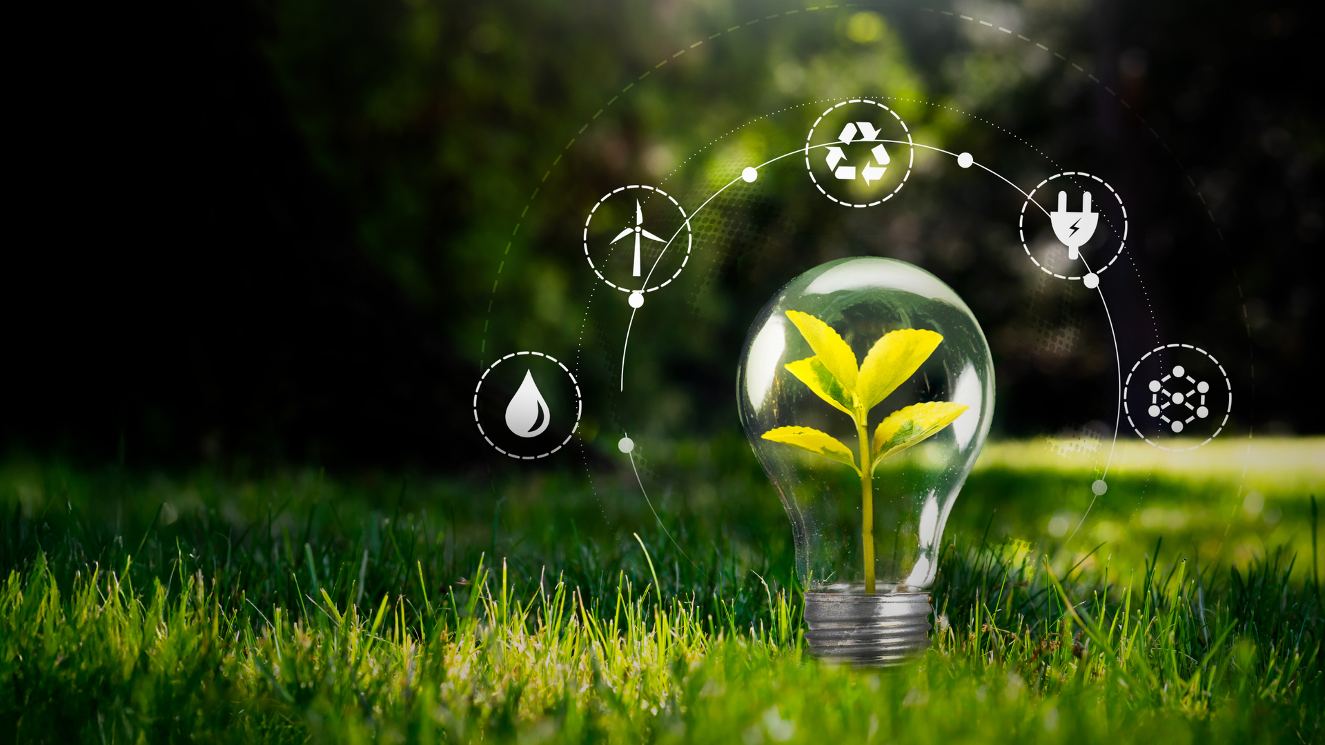 Purely Energy Article about Renewable Energy Certificates