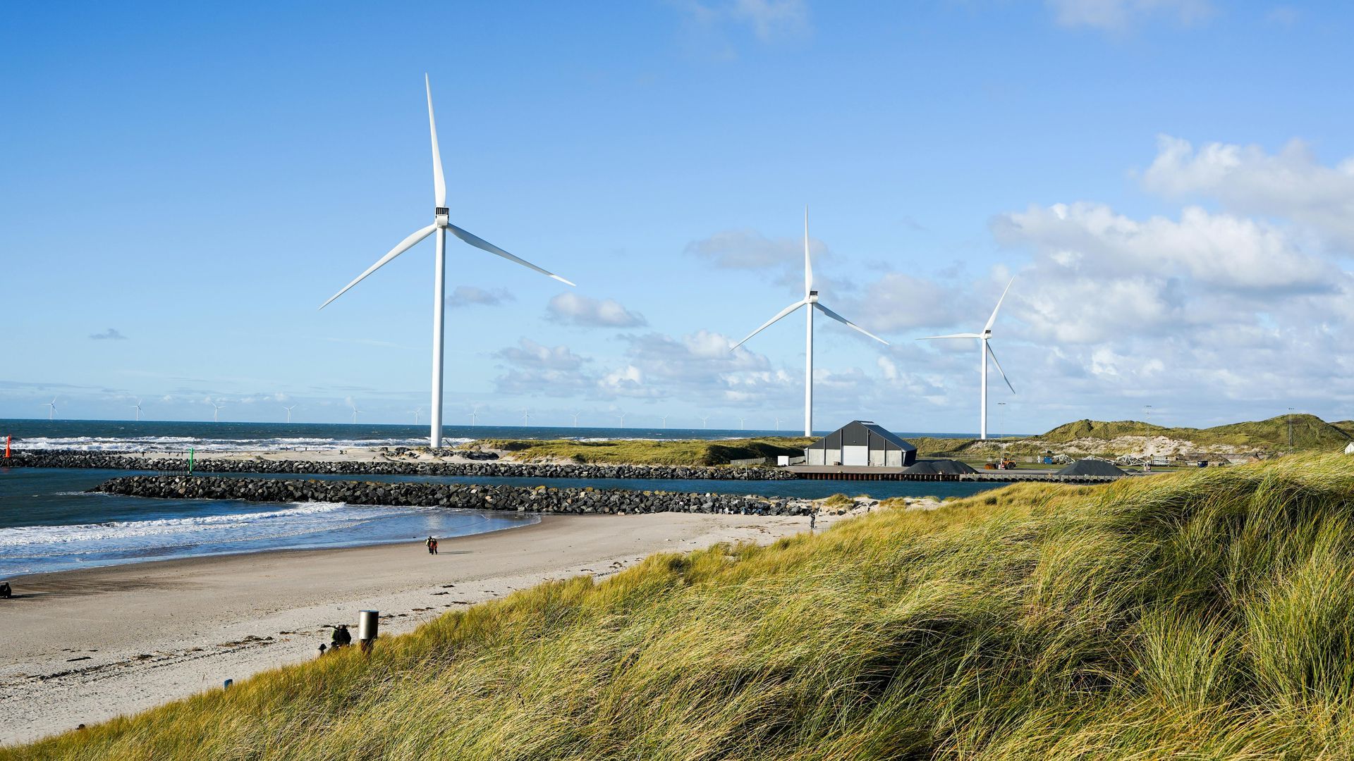 Wind Farm for Renewable Energy Breaks Records in 2025 blog post. 