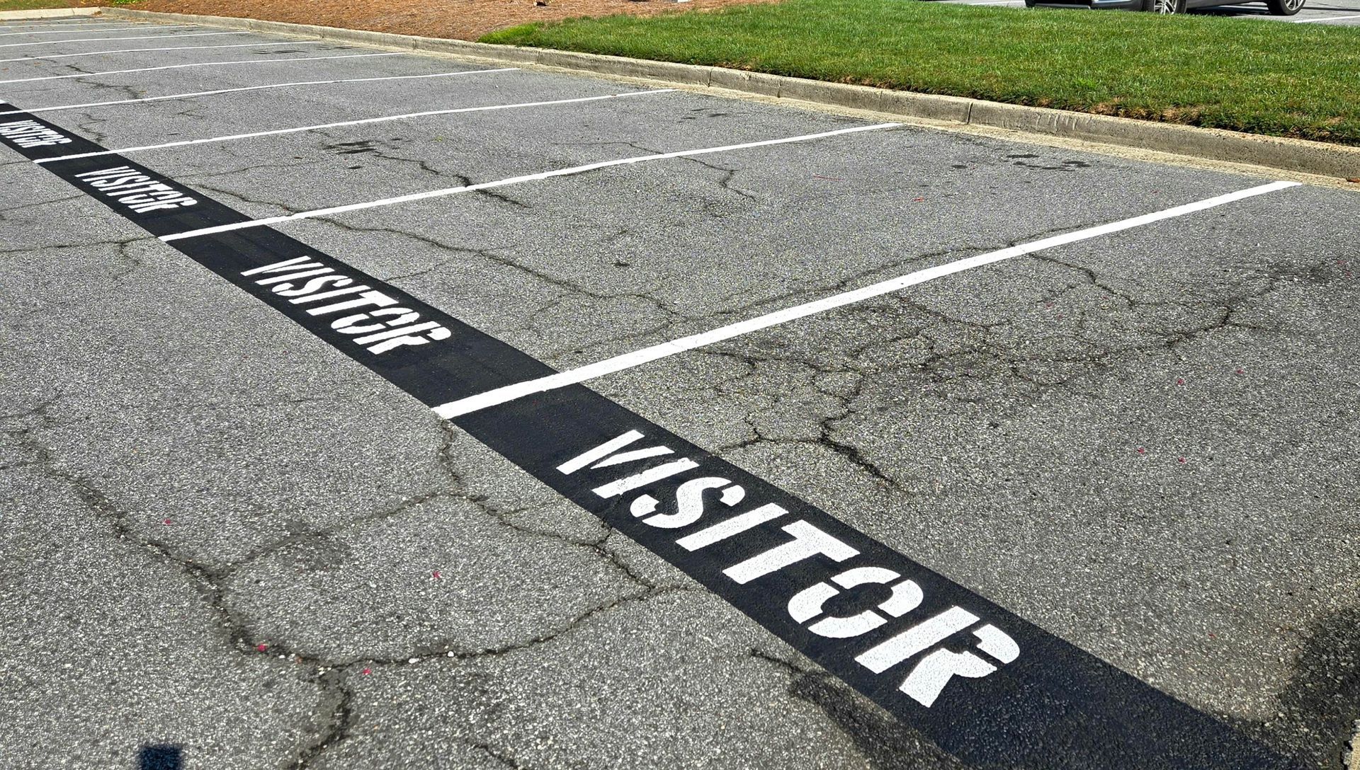 Parking lot with white-lined spaces, black 