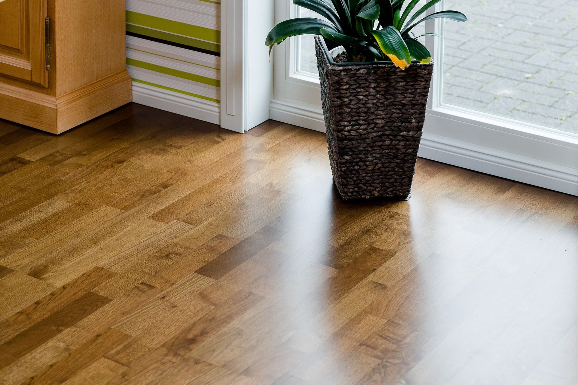 Wooden floor with a potted plant near a window.