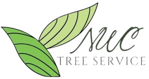 Ox tree service logo.