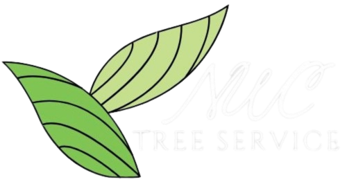 Ox tree service logo.