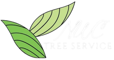 Ox tree service logo.