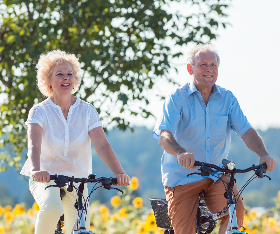 A man and a woman are riding bicycles in a field of sunflowers.