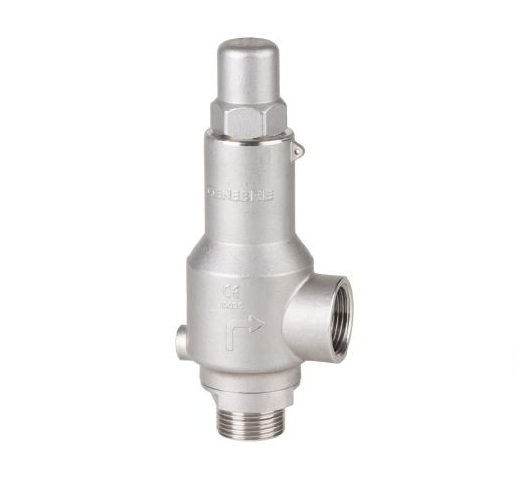 Válvula de alivio de presión de acero inoxidable con conexiones roscadas.