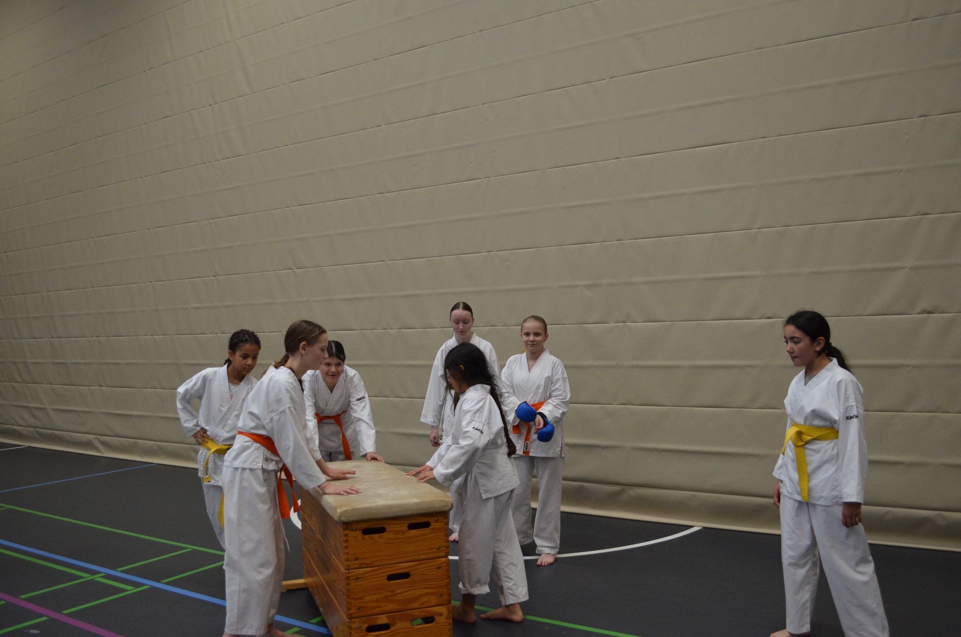 Eine Gruppe junger Mädchen steht in einer Turnhalle um eine Holzkiste herum - Karate-Jugendfreizeit.