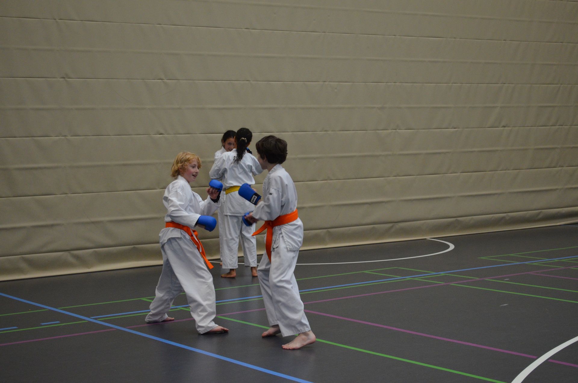 Eine Gruppe Kinder trainiert in einer Turnhalle Karate - Karate-Jugendfreizeit.