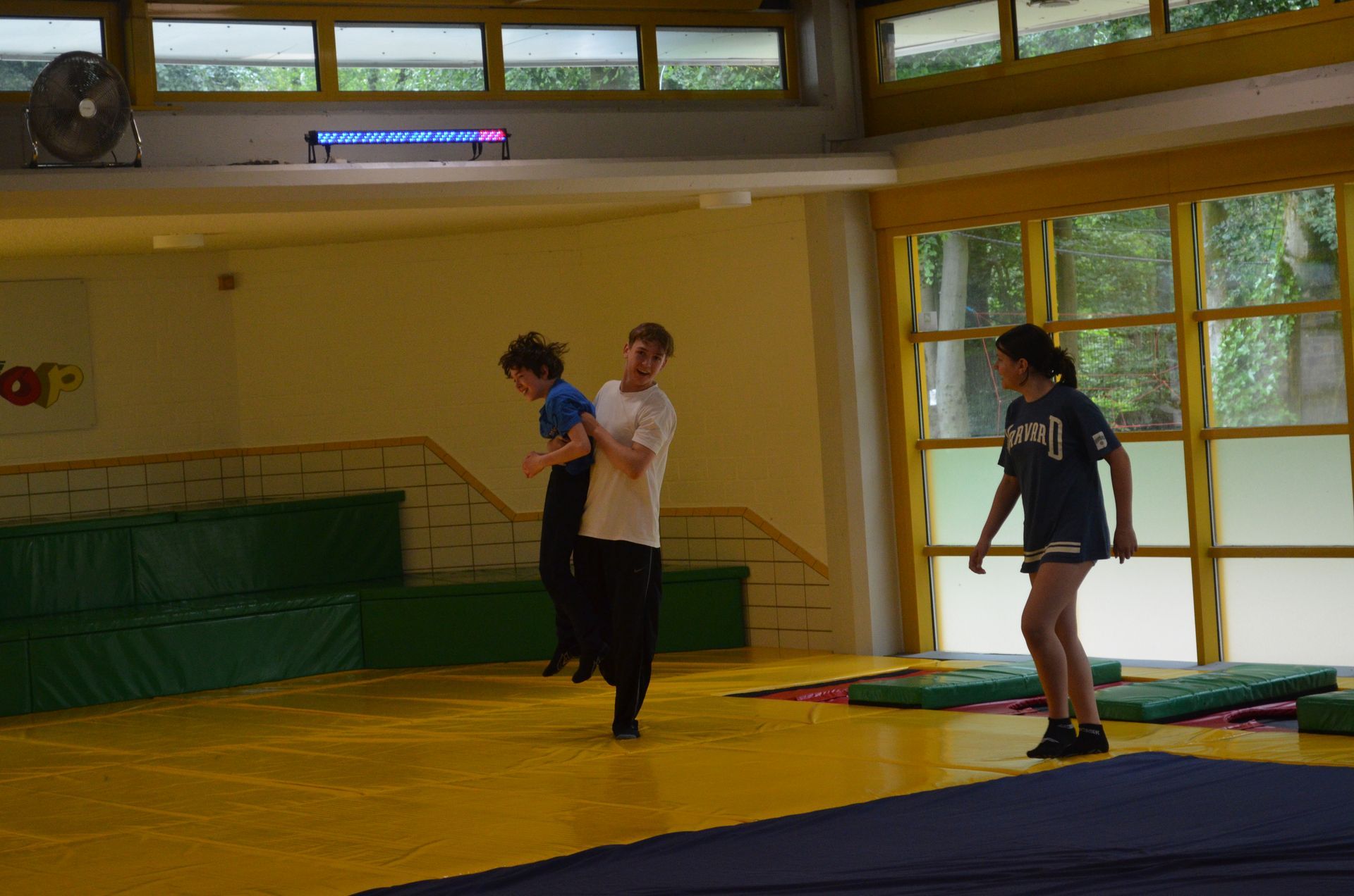 Eine Gruppe Kinder spielt in einer Turnhalle - Karate-Jugendfreizeit.