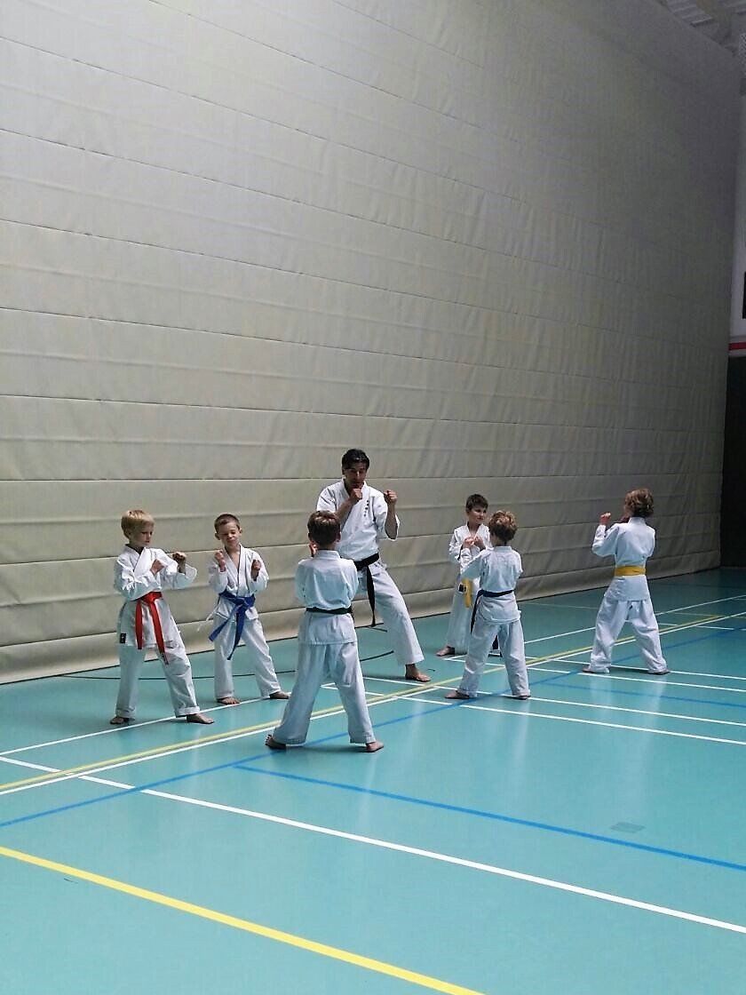 Eine Gruppe Kinder trainiert in einer Turnhalle Karate.