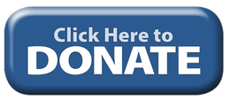 donate button