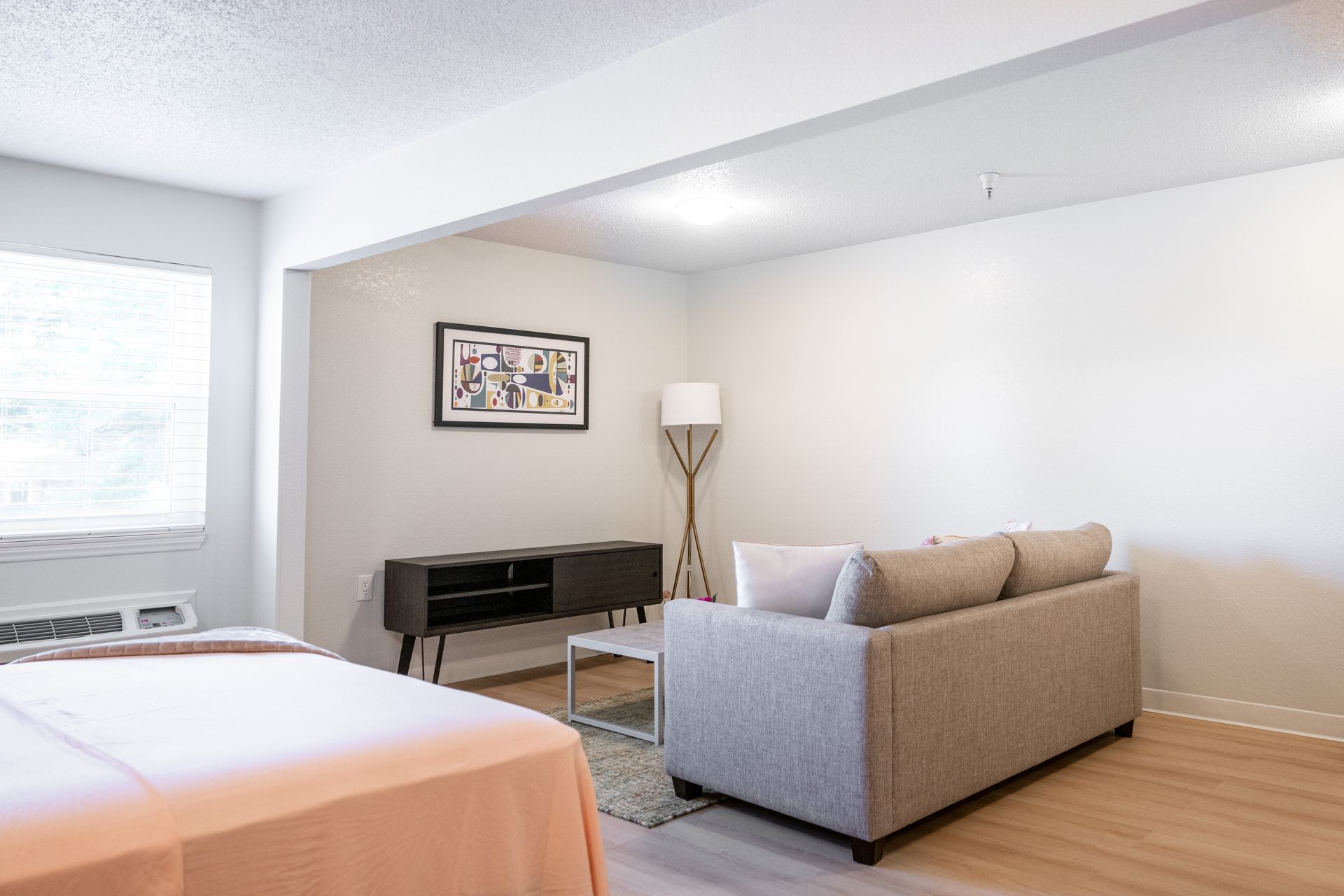 There is a couch and a bed in the room.