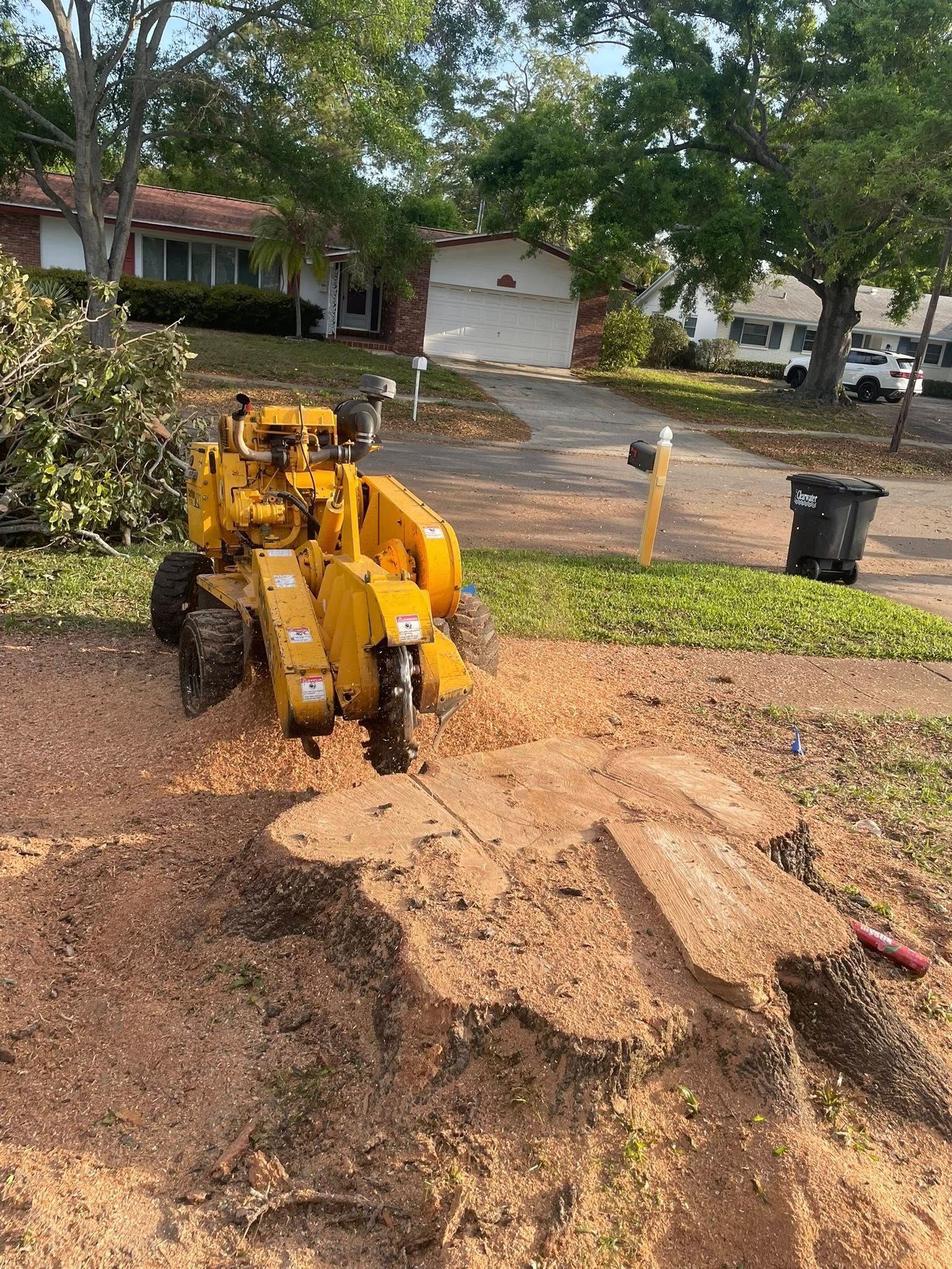 Yellow stump grinder grinding a tree stump in a residential yard. Wood chips scattered around.