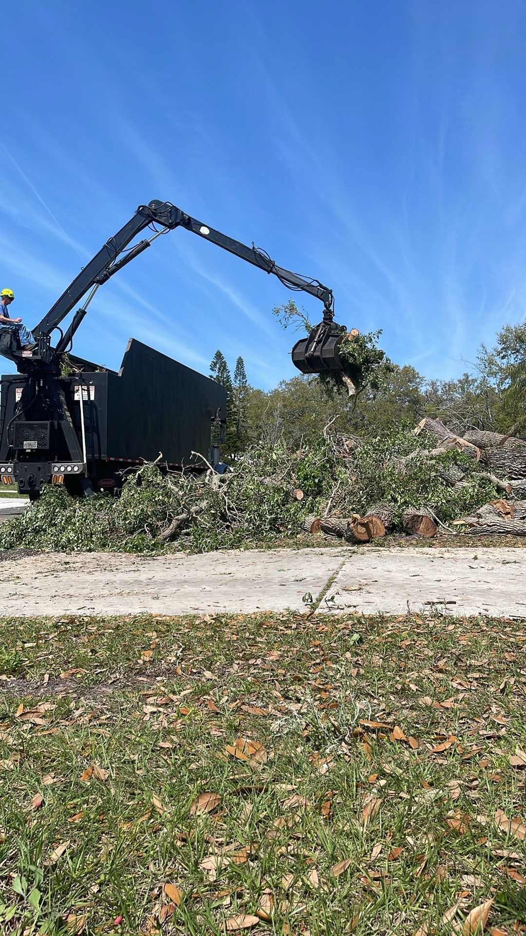 A truck with an articulated arm picking up tree debris on a roadside under a blue sky.
