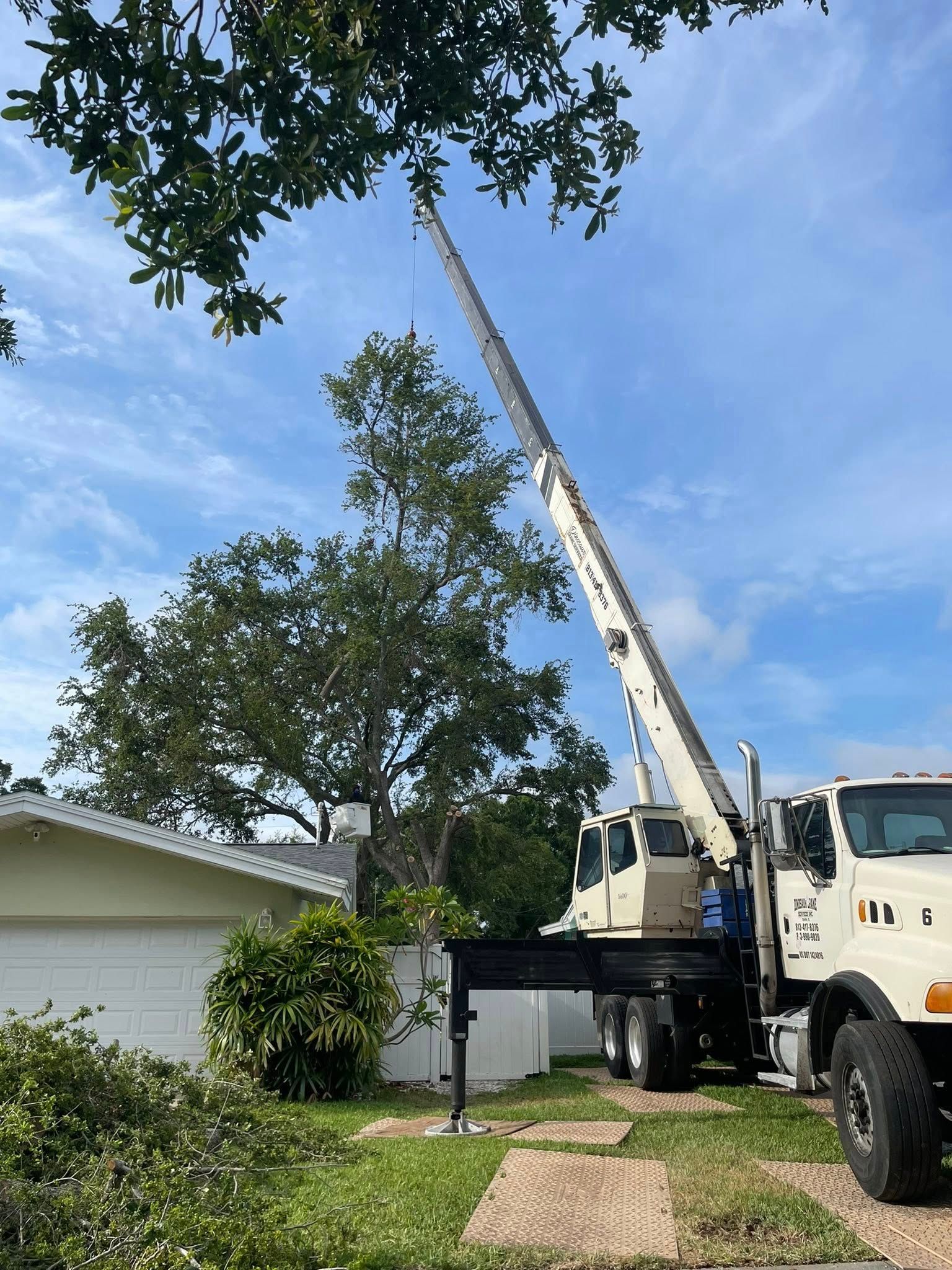 A crane truck trimming a tall tree in front of a white house under a partly cloudy blue sky.