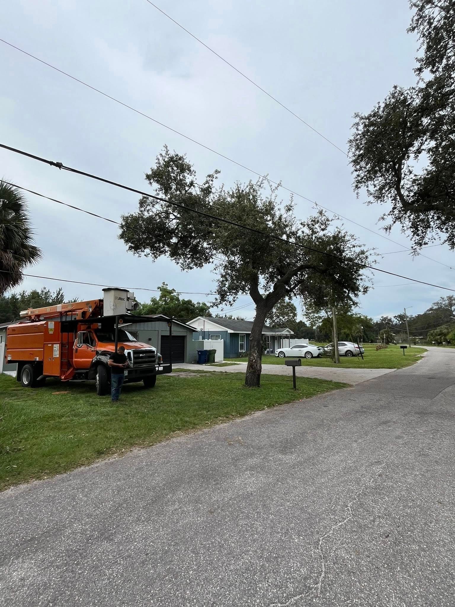 Orange utility truck trimming tree branches near power lines on a cloudy day.