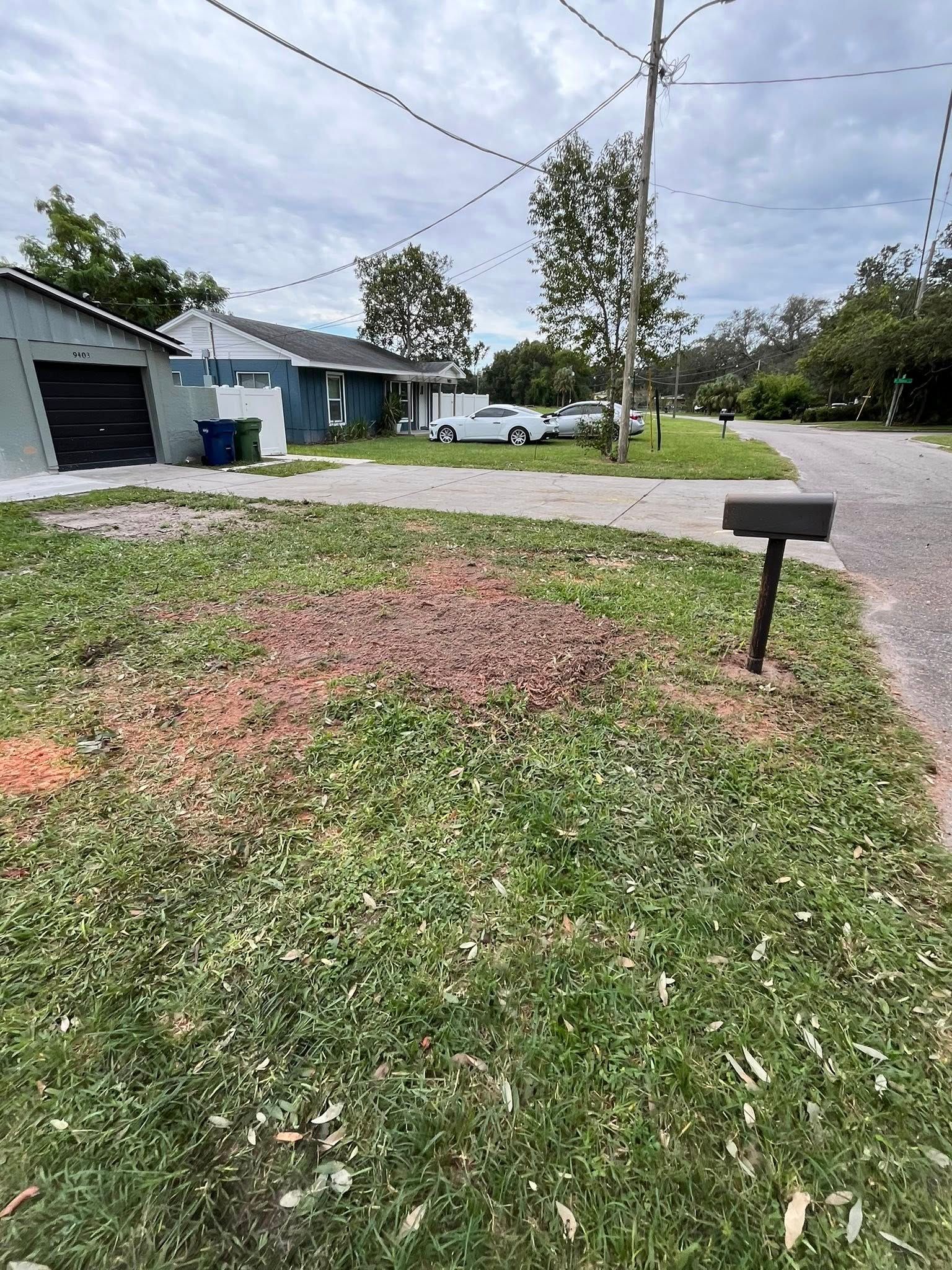 Grassy yard with a mailbox, a driveway, a house and a garage. Overcast sky.
